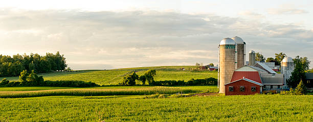Farms and Barns Panorama Evening Panorama in Rural New York State dairy farm stock pictures, royalty-free photos & images