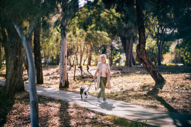 Fashionable senior woman on morning walk with dog in nature Happy active mature woman in fashionable clothes walking pet dog in forest park in summer early morning dog walk stock pictures, royalty-free photos & images