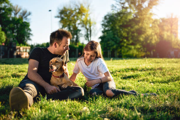 父と娘は、犬と公園でリラックス - 犬　少女 ストックフォトと画像