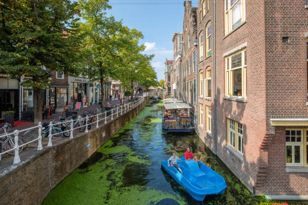 Father and son on a blue water bike sailing in a canal full of duckweed in Delft, the Netherlands. stock photo