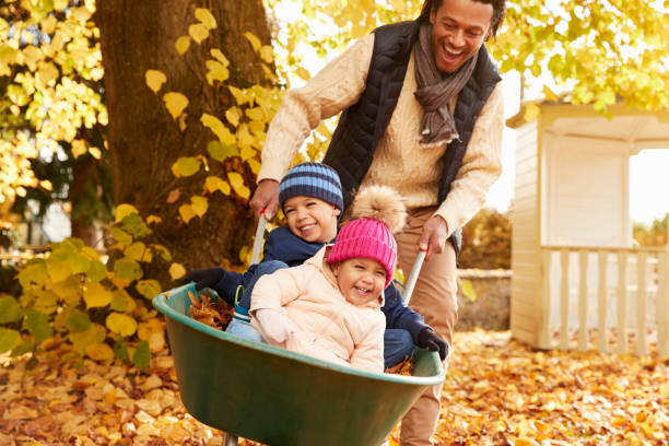Father In Autumn Garden Gives Children Ride In Wheelbarrow Father In Autumn Garden Gives Children Ride In Wheelbarrow picking up photos stock pictures, royalty-free photos & images