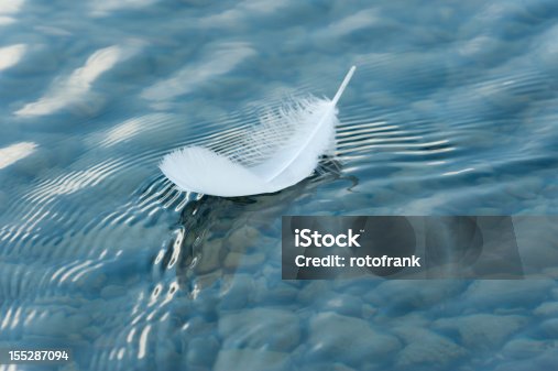 istock Feather on surface of the water 155287094