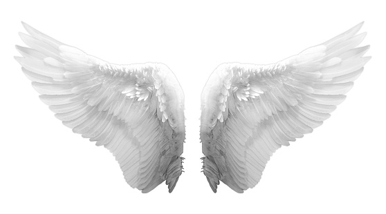 Feathered White Angel Wings On White Background Stock Photo - Download ...