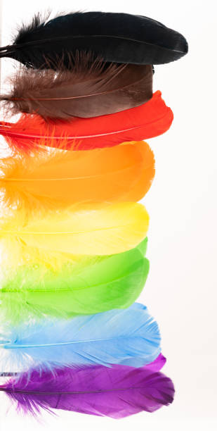перья в цветах радуги лгбт - progress pride flag стоковые фото и изображения
