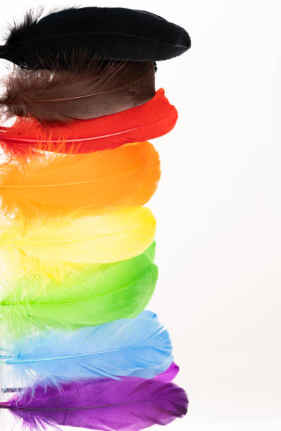 перья в цветах лгбтк - progress pride flag стоковые фото и изображения