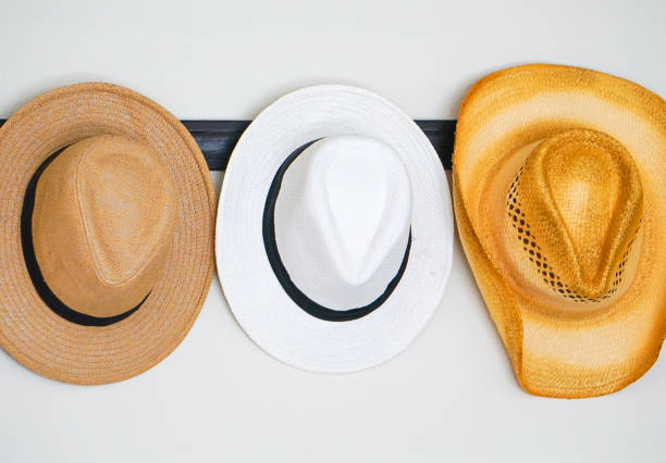 Fedora and Cowboy Hats stock photo