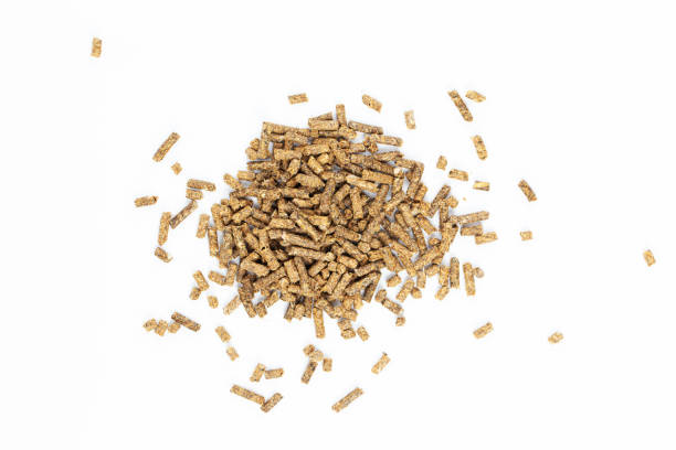 Feed for livestock. Pig feed pellets,feed  for hamster, rabbits or mouse on a white background. stock photo