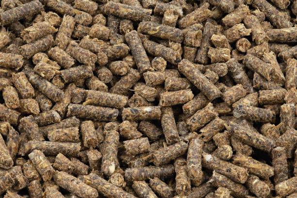 Food Pellets