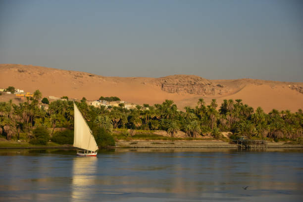 Felucca, the Egypt's traditional wooden boat, in the Nile stock photo
