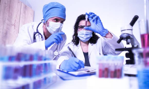 Female and male lab technician doing research. stock photo