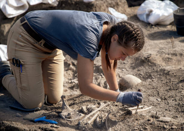 人間に取り組む女性考古学者が発掘に残る - 発掘 ストックフォトと画像