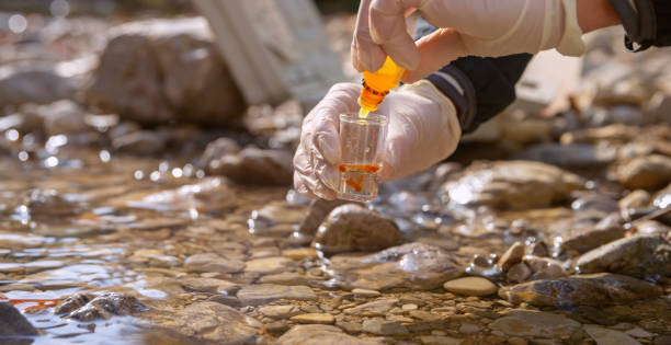 Female biologist adding reagent into a vial with water sample stock photo
