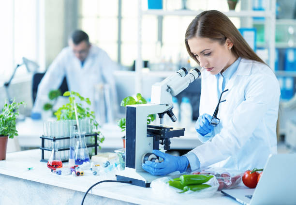 Female biologist holding a plant in laboratory Female biologist exploring plant in laboratory, microscope. agricultural engineering stock pictures, royalty-free photos & images