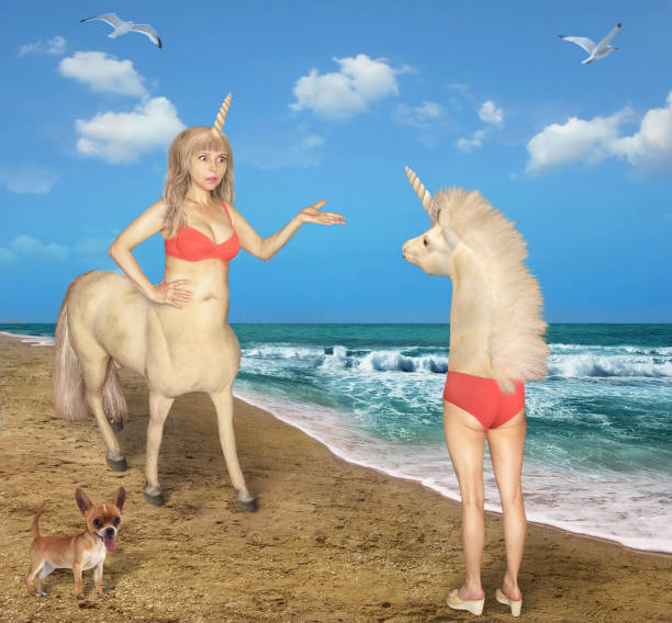 Female centaur meets strange unicorn The female centaur meets the strange unicorn on the beach of the sea. She was very confused. Her dog is next to her. horse hoof prints stock pictures, royalty-free photos & images