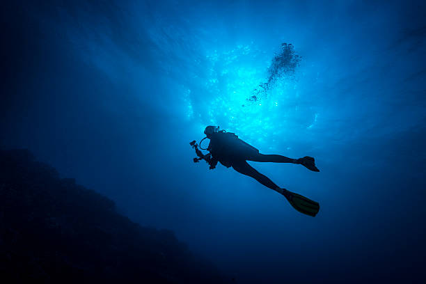 Female Diver - Palau, Micronesia A silhouette of a female diver in Palau, Micronesia. The Republic of Palau and their islands are a unique destination for dive lovers with pristine reefs and abundant marine underwater life. deep sea diving stock pictures, royalty-free photos & images