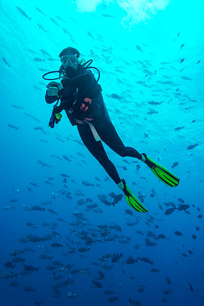 Female Diver - Palau, Micronesia Female diver at the safety stop. The Republic of Palau and their islands are a unique destination for dive lovers with pristine reefs and abundant marine underwater life. babeldaob island stock pictures, royalty-free photos & images