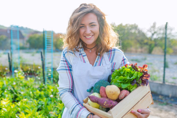 Female farmer at her farm Female farmer at her farm. Nothing genetically modified about these veggies. Only organic. Fresh from the earth. I am proud of my produce. Female farmer holding wooden box with vegetables urban garden stock pictures, royalty-free photos & images