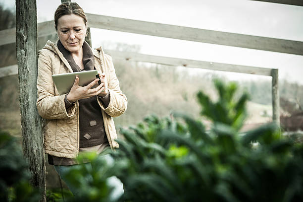 Female Farmer with Digital Tablet in Vegetable Garden stock photo