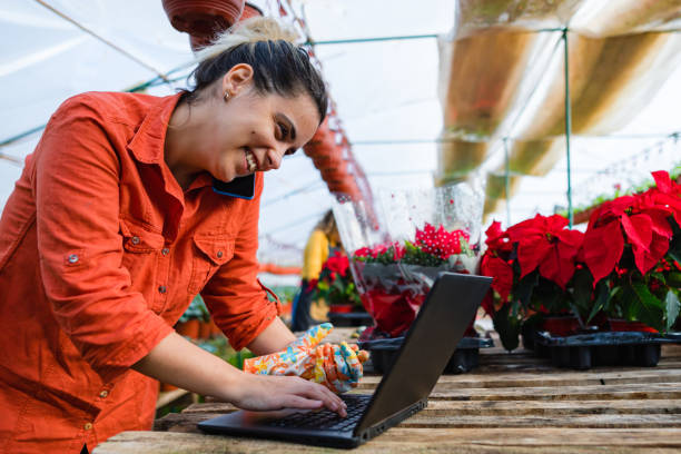 Female florist receives orders for Christmas stock photo