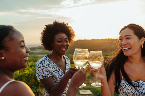 Female friends having outdoors party stock photo