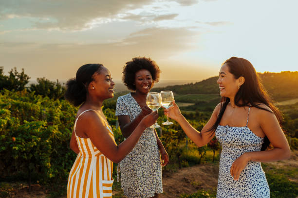 Female friends making a wine toast stock photo