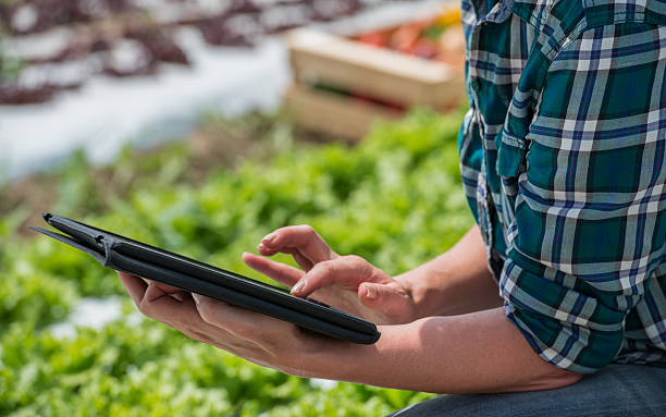 Female Gardener With Digital Tablet stock photo