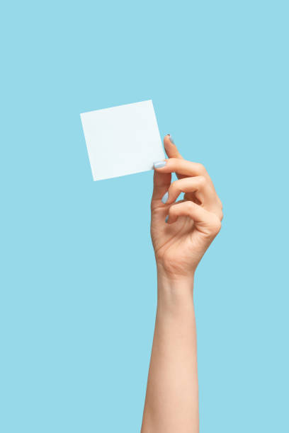 Female hand with blue manicure holding a white blank message card. Paper note in female hand on blue background stock photo