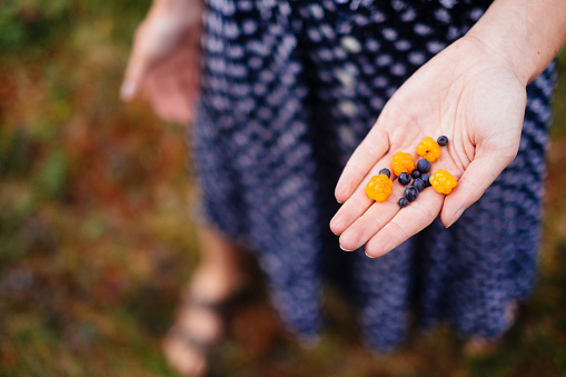 Girl holding cloudberries northern delicacy \