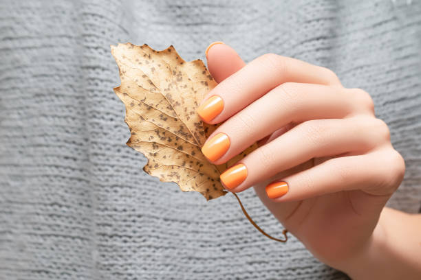 Female hand with orange autumn nail design. Female hand hold dry yellow autumn leaf. Woman hand on gray fabric shirt stock photo