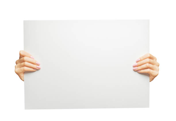 Female hands holding blank poster, copy-space. stock photo