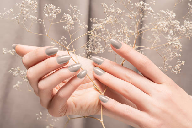 Female hands with glitter gray nail design. Female hands hold autumn flower. Woman hands on beige fabric background stock photo