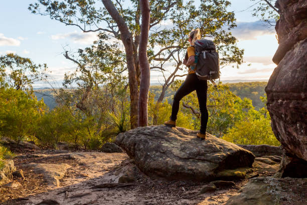 Female hiker bushwalking in Australian bushland Female hiker with backpack stands on a rock admiring views while bushwalking in Australian bushland bush land photos stock pictures, royalty-free photos & images
