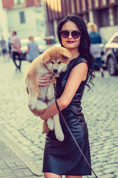 Female holding a dog puppy. Glamour brunette female in sunglasses holding a dog puppy on a street in a town. beautiful young brunette girl playing with her dog stock pictures, royalty-free photos & images