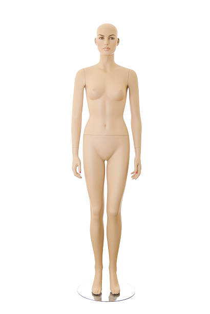Female mannequin | Isolated stock photo