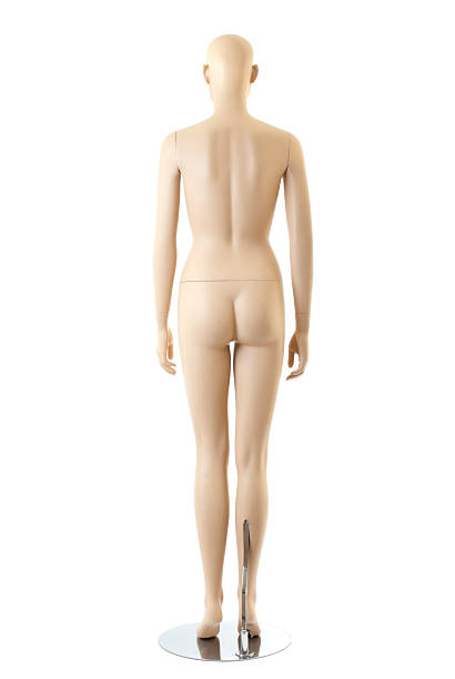 Female mannequin | Isolated stock photo