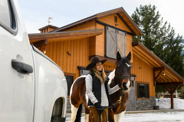 kvinnlig ranchägare som arbetar med sin häst - working stable horses bildbanksfoton och bilder