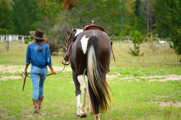 kvinnlig ranchägare som arbetar med sin häst - working stable horses bildbanksfoton och bilder