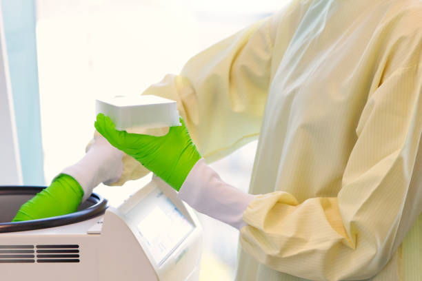 Female research scientist loading centrifuge stock photo