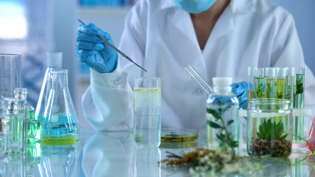 female scientist experimenting with plant extracts, body care lotions, aroma - ready mix imagens e fotografias de stock