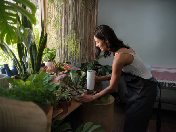 Female shop keeper tending the plants at a garden store A horizontal image of a pretty female store manager bending over to arrange plants on a table. medium shot stock pictures, royalty-free photos & images
