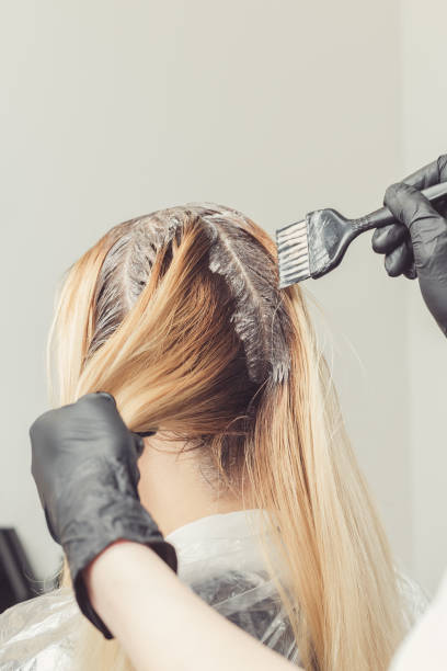 Female stylist applying a dye to the clients hair stock photo