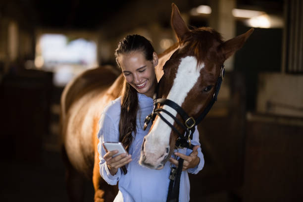kvinnliga veterinär med hjälp av mobiltelefon stående häst - working stable horses bildbanksfoton och bilder