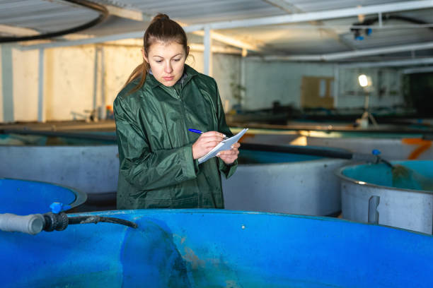 Female worker of trout farm watching fish and writing Young female worker of trout farm watching fish in pools, writing in notebook fish hatchery stock pictures, royalty-free photos & images