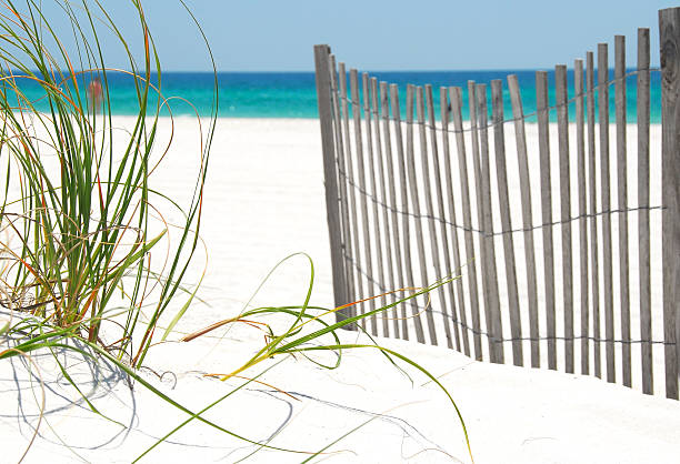 Fence and grass on Pensacola Beach stock photo