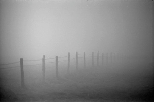 A fence at twilight in a cold, damp, and foggy field, black and white 35mm film.