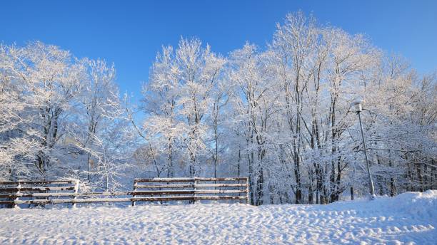 Fence in a winter wonderland with hoarfrost and snow covered trees on a sunny day stock photo
