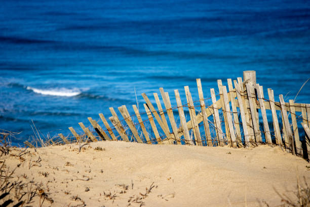 Fence on a sand dune by the ocean An old wooden fence protects a sand dune from erosion as a wave crashes in the background. erosion control stock pictures, royalty-free photos & images