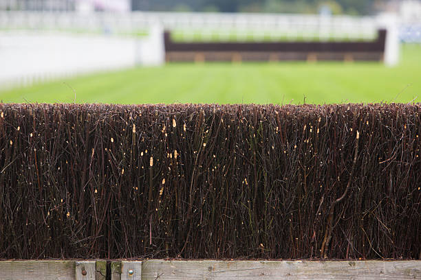 fence on horse racing track - hinder häst bildbanksfoton och bilder