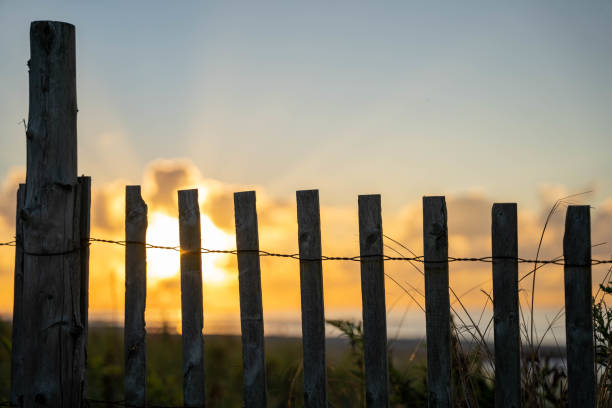 Fence on Sand Dunes at The Beach at Sunset stock photo
