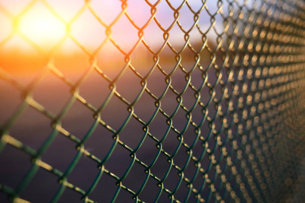 fence with metal grid in perspective stock photo